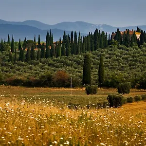 Tenuta Di Poggio Cavallo Landhaus